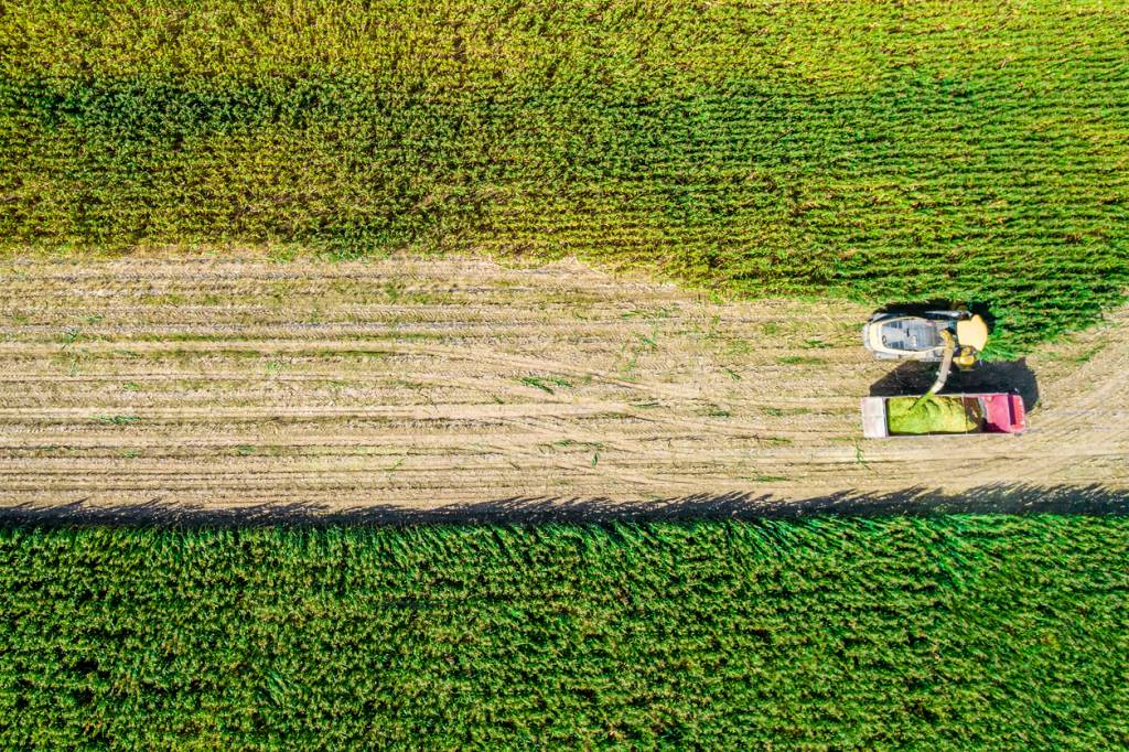 strip-till