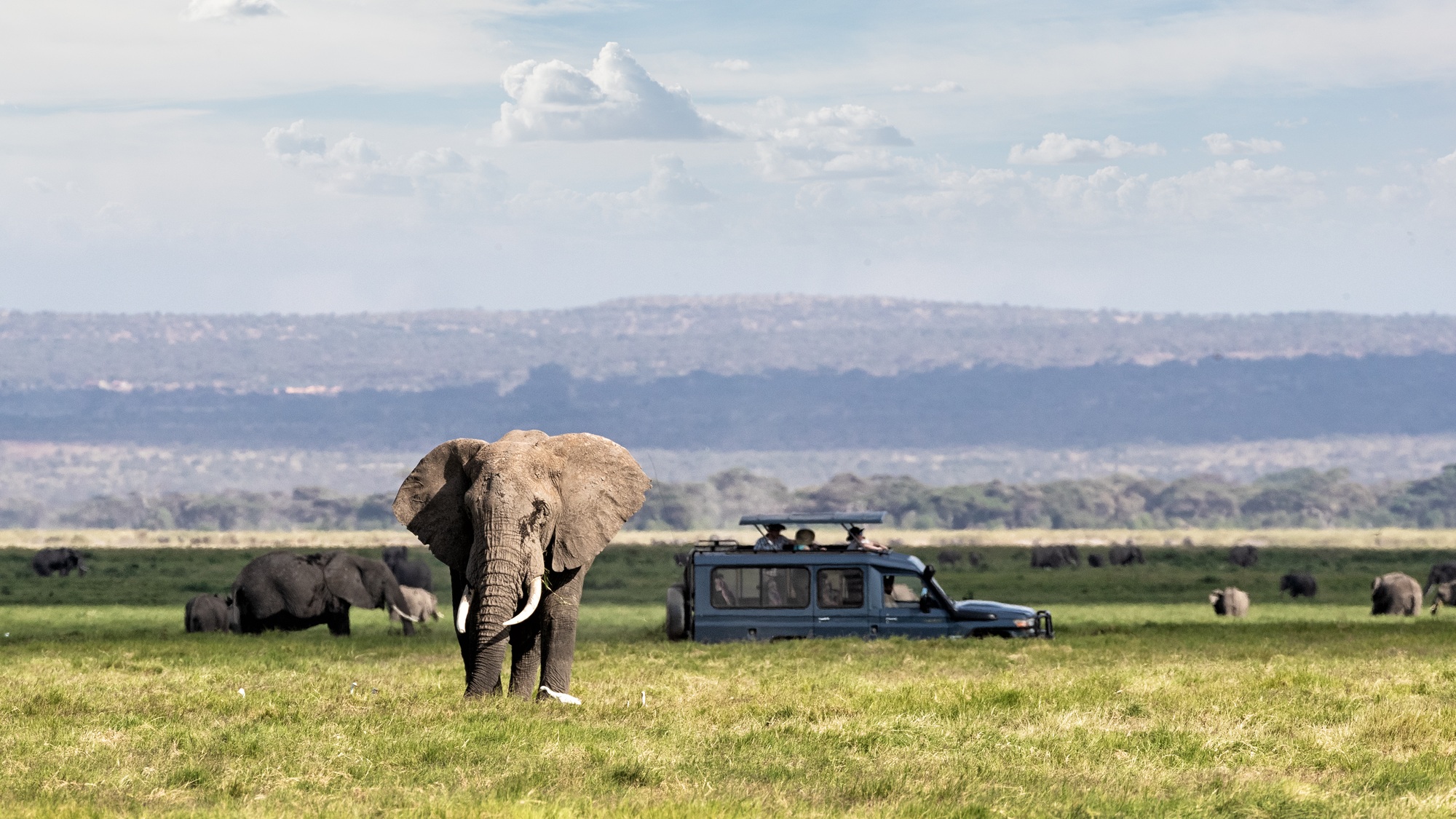 big five du Kenya