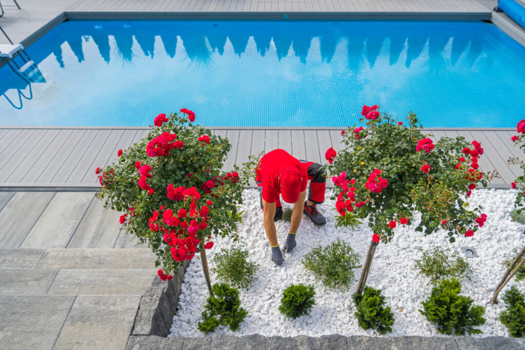 entretien jardin