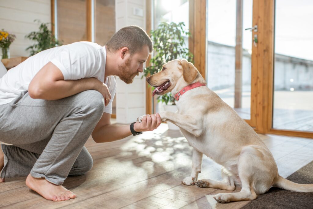 Man playing with dog in the house