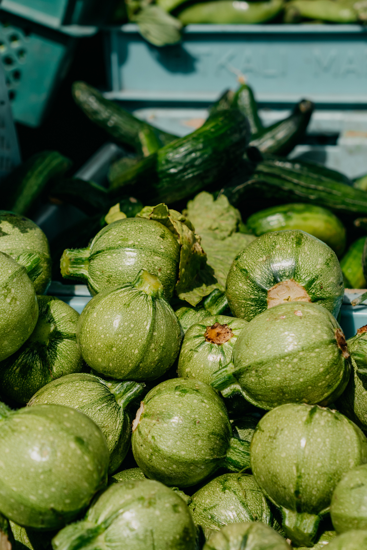 manger la confiture à la courgette