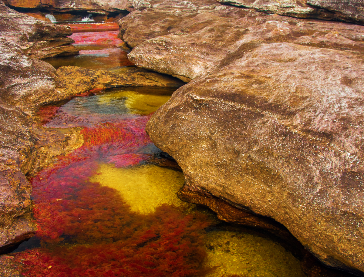 rivière aux cinq couleurs